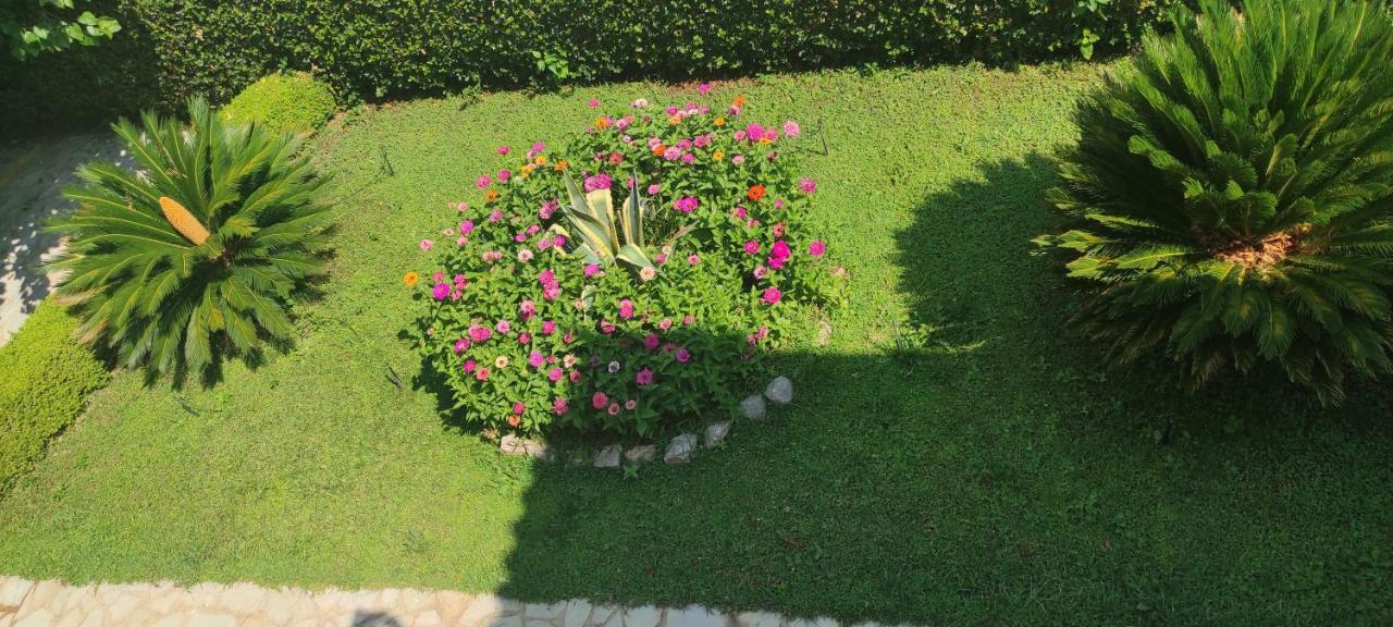 Hotel Patelis Púlithra Kültér fotó